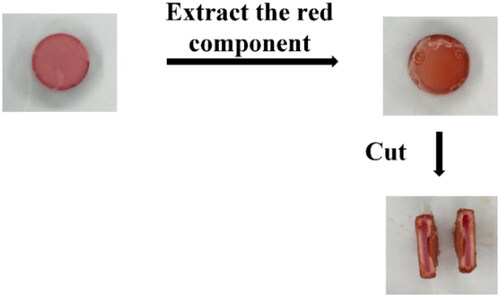 Figure 7. The release process for the red component from tablets.