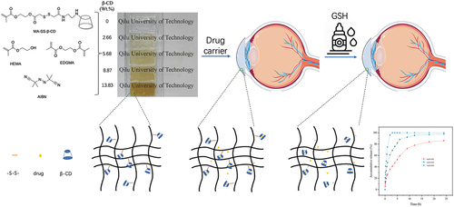 Figure 4. Schematic diagram of redox-responsive hydrogel backbone and regulated drug release by GSH drops.