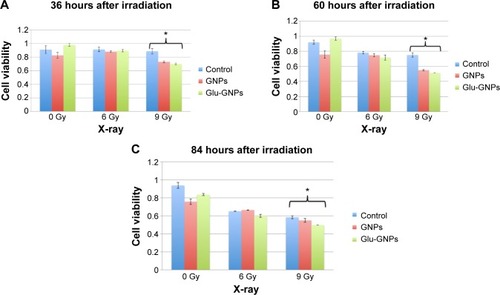 Figure 8 MCF-7 cell viability measured by cell proliferation colorimetric assay at 36 hours (A), 60 hours (B), and 84 hours (C) after irradiation.Notes: *Indicates that a significant difference (P<0.05) was shown when comparing gold concentration of cells treated with Glu-GNPs or GNPs. Note that, on the y-axis, “1” stands for cell viability is 100%.Abbreviations: GNPs, gold nanoparticles; Glu-GNPs, pegylated glucose coated GNPs.