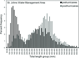 Figure 3 Pooled largemouth bass length frequencies prehurricanes (1999–2004; excluding 2000 and 2003) and posthurricanes (2005–2009) used to evaluate changes in the largemouth bass population size distribution at St. Johns Water Management Area. Pooled length frequencies consist of 2641 largemouth bass prehurricanes and 2179 posthurricanes.