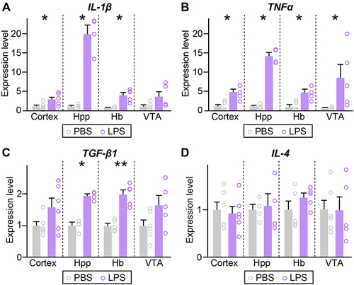 Figure 3 Mild, LPS-induced inflammation upregulates the pro-inflammatory cytokine levels. (A–D) qRT-PCR analysis of IL-1β, TNFα, TGF-β1, and IL-4 in the indicated regions of brain collected from mice i.p.-injected with saline or a single dose of LPS. (n = 4~6 mice/group; *p < 0.05, **p < 0.01; Mann–Whitney U-test).