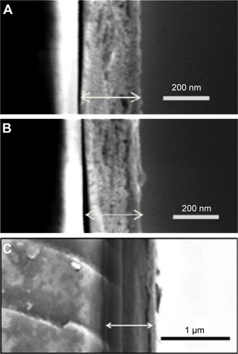 Figure 3 SEM micrographs of the mesoporous titania coating cross-sections on glass slides.Notes: (A) CTAB, (B) P123, and (C) P123 + PPG (1:1).Abbreviations: SEM, scanning electron microscopy; CTAB, cetyltrimethylammonium bromide; P123, Pluronic® P123; PPG, polypropylene glycol.