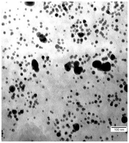 Figure 1 Image of hydrocolloid of gold nanoparticles visualized using transmission electron microscopy.