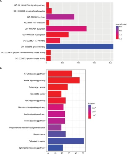 Figure 5 GO and KEGG pathway-enrichment analysis of DEmiRNA-targeted genes.Notes: (A) Enriched gene-ontology annotation of target genes; (B) enriched KEGG pathway of target genes.Abbreviations: DEmiRNA, differently expressed miRNA; GO, Gene Ontology; KEGG, Kyoto Encyclopedia of Genes and Genomes.