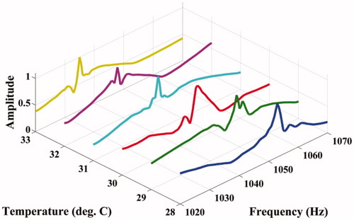 Figure 10. Variation of the acoustic amplitude with Δf at different temperatures for the agarose phantom.