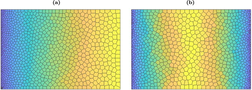 Figure 5. Experiments to demonstrate a gradient in the distribution of grain sizes. Here, n=1000 grains have areas drawn from a uniform distribution such that the ratio of the largest to the smallest grain size is at most 100. The domain is Ω=[0,3]×[0,2]. The results are shown after K=20 iterations and the grains are coloured according to their area. (a) The initial seed locations x1(0),…,xn(0) are distributed such that the x-coordinate increases with grain size. (b) The initial seed locations are distributed such that the larger grains are found in the middle of Ω.