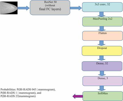Figure 7. CNN Network Architecture for classification of BI-RADS (backbone ResNet50).