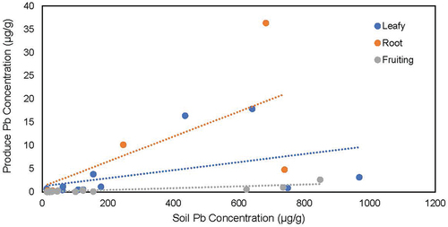 Figure 4. The relationship between community garden soil lead concentrations and corresponding produce lead concentrations with distinctions for leafy (n = 13), root (n = 5) and fruiting (n = 18) vegetables.