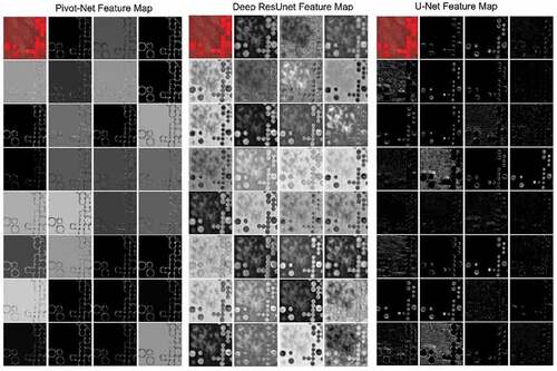 Figure 14. Visualization of feature map in three DL architectures.