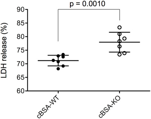 Figure 9 Effect of CLU in serum on CDC after cBSA immunization. The CDC against cultured HSMSs in the presence of 1:100 diluted serum was measured by the percentage of LDH release. Each value presents the measure of one animal (n = 7). p = 0.0010 (cBSA-KO vs cBSA-WT).