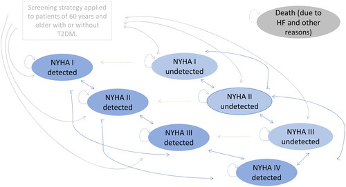 Figure 1. Markov model. Markov process with cycle length of 3 months and nine defined states.HF = heart failure; NTproBNP = N-terminal prohormone of brain natriuretic peptide; NYHA = New York Heart Association; T2DM = Type 2 diabetes mellitus.Undetected HF patients run into the model and were either detected or remain undetected. In the case of undetected HF, an NT-proBNP test is performed again the following year. Gray arrows: after the first screening, patients were assigned to NYHA states. The base case distribution corresponds to that of van Giesen et al. (2016)Citation16 based on Boonman-de Winter et al. (2012)Citation17. Patients with detected HF subsequently move between the “NYHA detected” health states. Patients with undetected HF (“NYHA undetected” states) undergo re-screening. Dark blue health states refer to detected HF according to the sensitivity. The transition probabilities (transitions shown with blue arrows) in the direction to worse NYHA health states are lower than in the case of undetected patients and refer to a slower disease progression. Light blue health states: refer to the undetected HF. The transition probabilities in the direction to worse NYHA health states are higher than in the case of detected patients. No screening arm: the base case distribution corresponds to that of van Giesen et al. (2016)Citation16 based on Boonman-de Winter et al. (2012)Citation17 illustrated in light blue undetected NYHA health conditions. The state NYHA IV is always detected (spcicificity 1). The green arrows describe the transitions between undetected and detected HF according to the incidence rates. Health states refer to the following populations: (1) undetected NYHA I without T2DM, undetected NYHA II without T2DM, undetected NYHA III without T2DM, undetected NYHA IV without T2DM; (2) undetected NYHA I with T2DM, undetected NYHA II with T2DM, undetected NYHA III with T2DM, undetected NYHA IV with T2DM; (3) detected without T2DM NYHA I, detected without T2DM NYHA II, detected without T2DM NYHA III, detected without T2DMNYHA IV, and death; (4) detected with T2DM NYHA I, detected with T2DM NYHA II, detected with T2DM NYHA III, detected with T2DM NYHA IV and death.