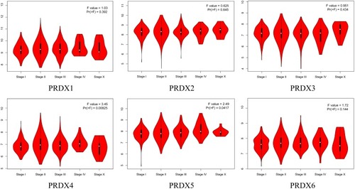 Figure 3 Correlation between PRDXs expression and tumor stage in breast cancer patients (GEPIA).