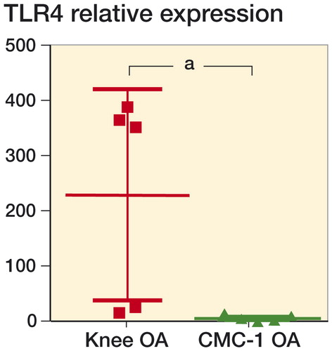 Figure 3. Relative TLR4 mRNA expression in CMC-I and knee OA cartilage. The expression was markedly higher in CMC-I OA cartilage than in knee OA cartilage. The results are expressed as mean and SD. a p < 0.01 indicates statistically significant differences between pairwise comparison groups using the Mann-Whitney test (non-parametric). Data were obtained from 10 patients with each OA joint type, and run in duplicate.