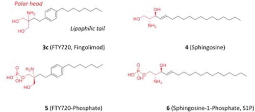 Figure 3. Chemical structures of FTY720 (3c), sphingosine (4) and their phosphate adducts (5, 6).