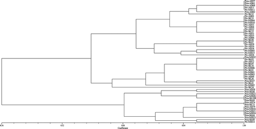 Fig. 5 Pathogenic similarity of 36 P. teres f. teres (Ptt) and 21 P. teres f. maculata (Ptm) isolates collected from western Canada. Isolates clustered in two distinct groups with 35 Ptt and 6 Ptm isolates in the first group and 1 Ptt and 15 Ptm isolates in the second group. The dendrogram was produced using the unweighted pair-group method using the arithmetic means (UPGMA) procedure and simple similarity coefficient with NTSYSpc ver. 2.2.