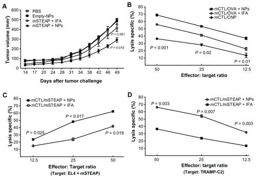 Figure 5 Immunization with PLGA-NPs encapsulating mSTEAP peptide elicited stronger immune response. (A) Tumor suppression was observed in the mice immunized with PLGA-NPs encapsulating mouse six-transmembrane epithelial antigen of the prostate (mSTEAP) peptide (●) when compared with mSTEAP peptide emulsified in incomplete Freund’s adjuvant (○). (B) Ovalbumin (OVA)-specific CTLs derived from the mice immunized with PLGA-NPs encapsulating OVA lysed a significantly higher percentage of EL4 cells pulsed with OVA than those immunized with OVA emulsified in IFA (■ vs ○). The CTLs derived from the mice immunized with empty-NP against EL4 cells pulsed with OVA (◆). Mice immunized with PLGA-NPs encapsulating mSTEAP peptide induced a more effective immune response, not only lysed significantly higher percentages of EL4 cells pulsed with mSTEAP peptide (C), but transgenic adenocarcinoma of mouse prostate-C2 cells than those derived from the mice immunized with mSTEAP emulsified in incomplete Freund’s adjuvant (D).Abbreviation: PLGA-NPs, poly(DL-lactide-co-glycolide) nanoparticles.