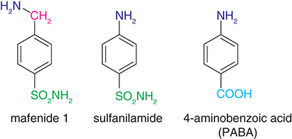 Figure 1. Comparison of the structures of mafenide 1, sulfanilamide and PABA.PABA: 4-aminobenzoic acid.