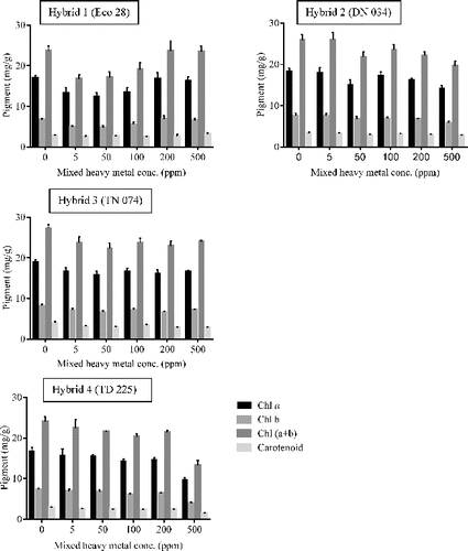 Figure 3. Effects of mixed heavy metals on chl a, chl b, total chlorophyll (a+b), and carotenoid contents in leaves of the four poplar hybrids at different heavy metal concentrations. Values are mean ± SEM, significance at p ˂ 0.05 (n = 4).