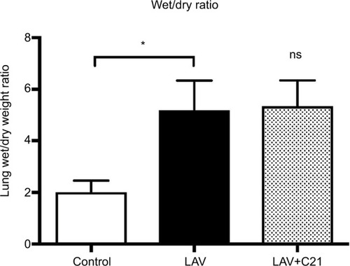 Figure 2 Wet/dry-weight ratio of lungs of rats with mechanical ventilation only (control; n=9), repeated pulmonary lavage and mechanical ventilation (LAV; n=9), and repeated pulmonary lavage, mechanical ventilation, and direct stimulation of the AT2 receptor with C21 (0.03 mg/kg body weight; LAV+C21; n=9).Notes: Data are presented as mean±SD, Mann–Whitney U-test (n=9). n.s., not significantly different compared with lavaged group. *p<0.05.Abbreviations: AT2, angiotensin II type 2; C21, Compound 21.