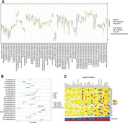 Figure 7 Immunotherapy sensitivity and associated drugs of CCT8. (A and B) TISMO showed the capability of CCT8 expression to predict immunotherapy response in mouse immunotherapy cohorts (A) and tumor cell lines (B). (C) Heatmap showing the enrichment fraction of different compounds in each cancer (positive in blue, negative in red). Components or drugs are listed from right to left in descending order of the number of enriched cancers. *p < 0.05; **p < 0.01; ***p < 0.001.