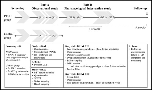 Figure 1. Overview of study procedures. This study consists of two integrated parts. For some participants, the order of study visits is changed to reduce the total duration of participation; these participants complete study visits B1.1 and B1.2 prior to study visits A1 and A2. *Only post-traumatic stress disorder (PTSD) group participants recruited from the general population complete a screening visit; participants recruited from one of the collaborating mental healthcare institutions are included based on a (suspected or preliminary) diagnosis of PTSD for which they received an indication for trauma-focused treatment. APM = Advanced Progressive Matrices; CAPS-5 = Clinician-Administered PTSD Scale for DSM-5; MINI = Mini International Neuropsychiatric Interview; MACE = Maltreatment and Abuse Chronology of Exposure; DST = dexamethasone suppression test; SECPT = socially evaluated cold-pressor test; fMRI = functional magnetic resonance imaging.