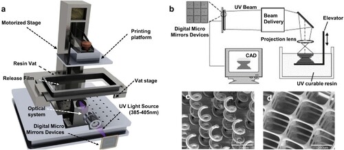 Figure 3. (a) Schematic representation of a DLP printing system. Reproduced from [Citation30], reproduced with permission from [Citation31]. (b) The high-resolution DLP printing system. (c) Micro coil array with a coil diameter of 100 µm. Scale bar: 200 µm, (d) Micro matrix. Scale bar: 200 µm. Reproduced with permission from [Citation14].