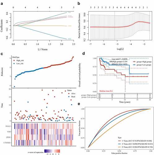 Figure 5. Establishing a prognostic EMT-related gene risk signature for TGCT patients in the TCGA TGCT cohort. (A)LASSO Cox regression of the 5 EMT-related genes regulated by LINC00313. (B) Screening of the parameter in the LASSO Cox regression. (C) After dividing patients into high- and low-risk groups, the risk distribution, survival, and expression of 4 related genes for each patient was displayed. (D) Significant differences of DFS were observed between high-and low-risk TCGA TGCT patients (E) ROC curves exhibits the predictive sensitivity and specificity of the risk score at 1, 3, and 5 years. HR: hazard ratio.