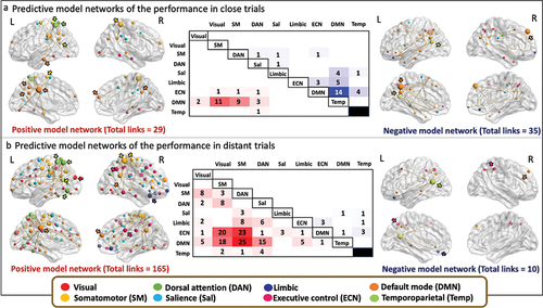 Figure 6. Positive and negative predictive networks of CAT solving of close and distant trials. the positive (left) and the negative (right) predictive model networks are superimposed on a volume rendering of the brain with a lateral and medial views for (a) close and (b) distant trials. For descriptive display purposes, the size of the nodes is proportional to their degree, and we indicate the highest degree nodes with arrows. The color of the nodes and arrows represent the functional network they belong to and are color coded as indicated at the bottom of the figure (brown frame). For the (a) close and (b) distant trials, the matrix represents the number of links within the model network occurring within and between the eight intrinsic brain networks. In red colors are presented the number of links that belong to the positive network and in blue are the links of the negative network. SM: somatomotor network, DAN: dorsal attention network, Sal: salience network, ECN: executive control network, DMN: default mode network, Temp: temporoparietal network.