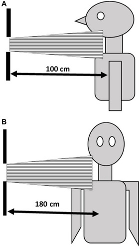 Figure 1 Schematic of X-ray beams in (A) anteroposterior cervical spine and (B) lateral cervical spine.