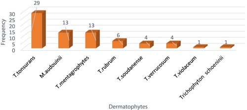 Figure 1 Frequency and distribution of dermatophytes 2019, Addis Ababa, Ethiopia.