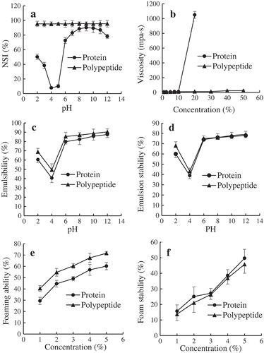 Figure 2. Functional properties of ZBMSK polypeptide: (a). Effect of pH value on the solubility of ZBMSK protein and polypeptide; (b). Effect of ZBMSK protein and polypeptide concentration on viscosity; (c). Effect of pH on emulsifying properties of ZBMSK protein and polypeptide; (d). Effect of pH on emulsion stability of ZBMSK protein and polypeptide; (e). Effect of ZBMSK protein and polypeptide concentration on foaming ability; (f). Effect of ZBMSK protein and polypeptide concentration on foam stability.Figura 2. Propiedades funcionales de polipéptidos ZBMSK: (a). Efecto del valor pH en la solubilidad de proteína y polipéptidos ZBMSK; (b). Efecto de la concentración de proteína y polipéptidos ZBMSK en la viscosidad; (c). Efecto del pH en las propiedades emulsionantes de proteína y polipéptidos ZBMSK; (d). Efecto del pH en la estabilidad de emulsión de proteína y polipéptidos ZBMSK; (e). Efecto de la concentración de proteína y polipéptidos ZBMSK en la habilidad de espumosidad; (f). Efecto de la concentración de proteína y polipéptidos ZBMSK en la estabilidad de la espuma.