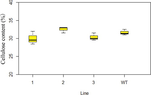 Figure 7. Cell-wall cellulose content in Arabidopsis WT and transgenic lines. Note: Left to right: line 1, line 2, line 3 and WT. *P < 0.05, **P < 0.01 according to Student's t-test (n = 3).