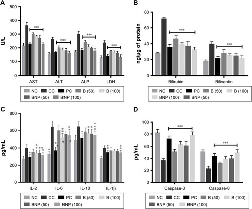 Figure 5 Effects of B and BNP after oral administration of 50 and 100 mg/kg for 15 days in carcinogen control rats.Notes: (A) Enzyme levels of AST, ALT, ALP and LDH in serum; (B) catabolic by-products (bilirubin and biliverdin); (C) antiproliferative biomarkers IL-2, IL-6, IL-10 and IL-1β and (D) caspase-3 and caspase-8. Data are represented as mean ± SD (n=8). Statistically significant differences were observed between carcinogen control and test groups (one-way ANOVA followed by Bonferroni multiple comparison test; *p<0.05, **p<0.01 and ***p<0.001). The studied groups are NC, CC (NDEA), PC (NDEA + 5-FU), NDEA + B (50 mg/kg), NDEA + B (100 mg/kg), NDEA + BNP (50 mg/kg) and NDEA + BNP (100 mg/kg).Abbreviations: B, betulinic acid; BNP, B nanoparticles; AST, aspartate aminotransferase; ALT, alanine aminotransferase; ALP, alkaline phosphatase; LDH, lactate dehydrogenase; SD, standard deviation; ANOVA, analysis of variance; NC, normal control; CC, carcinogen control; NDEA, N-nitrosodiethylamine; PC, positive control; 5-FU, 5-fluorouracil.