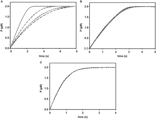 Figure 1.  Inhibition of homotrimeric dUTPases by 3′azido-ddUTP·Mg. Reaction traces showing the effects of azido-ddUTP·Mg on the reactions catalyzed by (A) the E. coli, (B) the human, and (C) the EIAV dUTPases. The traces were obtained by reacting the enzymes (0.2 μM) with substrate (2 μM) in the presence of Mg2+ (5 mM) before (solid black lines) and after including azido-ddUTP (10–100 μM) (dashed black lines) in the reaction mixtures. The gray lines were obtained by simulating the reactions using the associated best fit parameters, as estimated by Dynafit.