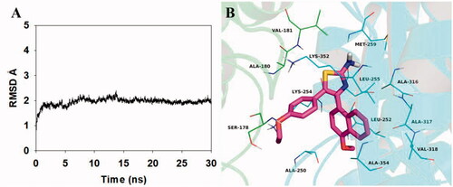 Figure 7. Molecular docking and molecular dynamics refinement of compound 5b with tubulin. (A) The root-mean-square deviation (RMSD) of all the atoms of tubulin-5b complex with respect to its initial structure as function of time. (B) Molecular dynamics results of tubulin-5b complex.