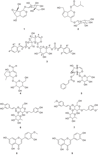 Figure 1.  Chemical structures of catalpol 1, penstemide 2, pensteminoside 3, plantarenaloside 4, globularisicin 5, verbascoside 6, martinoside 7, diosmetin 8 and luteolin 9.