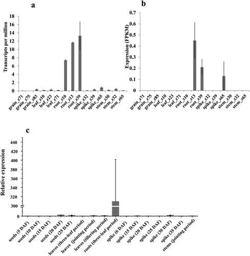 Figure 3. Expression patterns of TaMADS32 in wheat. Gene expression pattern at different periods in the exp VIP database, Zadok’s wheat growth phases (a). The gene expression pattern in the Wheat exp database (b). RT-qPCR validation results from different tissues at different periods (c). Three biological replicates were used.