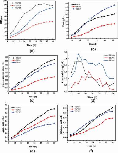 Figure 5. Fed-batch fermentation profiles of the engineered strains TRP03, TRP05, and TRP07 in a 5 L bioreactor. Cell growth (A), tryptophan titer (B), glucose concentration, (C), productivity (D), acetic acid (E), and glutamate (F)are shown. The data shown were chosen as a typical result from a series of experiments.