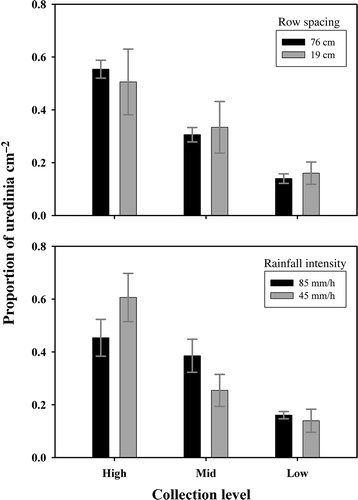 Fig. 2. The mean proportion of uredinia cm−2 (± standard error) observed within the soybean canopies at three collection levels for the treatments of rainfall intensity and row spacing. The soybean canopy collection levels were adjusted relative to the average plant canopy height (ht) for the levels of low (0.3 ht), mid (0.6 ht) and high (1.0 ht).