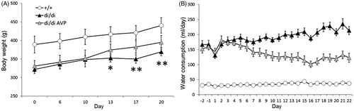 Figure 4. Body weight (A) and water consumption (B) after injection into the PVN of adeno-associated virus (AAV) containing the intact AVP nucleotide sequence (vAVP). Time-course of changes in body weight (A) and water consumption (B) in vasopressin (AVP)-deficient (di/di) Brattleboro rats after bilateral injection of adeno-associated virus (AAV) containing AVP-nucleotide into the paraventricular nucleus of the hypothalamus (PVN): di/di vAVP group; controls were either di/di rats given AAV containing galactosidase nucleotide sequence, or untreated +/+ non-AVP-deficient controls; n = 10 per group. Data are means ± SEM. Statistical analysis was conducted using the repeated measure ANOVA module of the StatSoft 12.0 program with Newman–Keuls post hoc comparisons. (A) *p < 0.05; **p < 0.01 vs +/+; (B) the main effects of group, time as well as their interaction were statistically significant (p < 0.01); for clarity (B) does not contain statistical symbols, the main effects of group, time as well as their interaction were significant (p < 0.01).