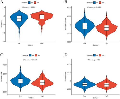 Figure 8. Analysis of differences in immune scores between high/low-risk groups. (A) Analysis of differences in tumor purity scores between high/low-risk groups. (B) Analysis of differences in ESTIMATE scores between high/low-risk groups. (C) Analysis of differences in immune scores between high/low-risk groups. (D) Analysis of differences in stromal scores between high/low-risk groups.