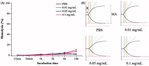 Figure 2. RBC lysis and TEG of the PLGA-PEG-B6/Cur nanoparticles. (A) Effect of different concentrations of PLGA-PEG-B6/Cur nanoparticles on RBC hemolysis. (B) Effect of PLGA-PEG-B6/Cur nanoparticles on blood coagulation. Data represented as mean ± SD (n = 3).
