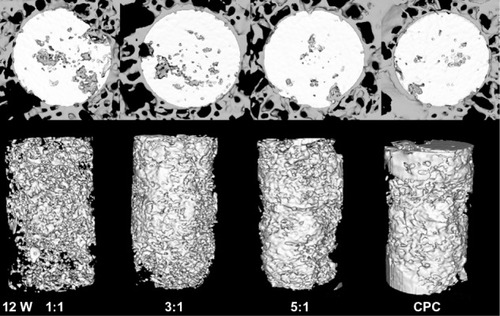 Figure 5 Reconstruction of the cross-sectional images of rabbit femur and residual material of the composite by micro-CT analysis at 12 weeks after the operation.Abbreviations: CT, computed tomography; CPC, calcium phosphate cement.