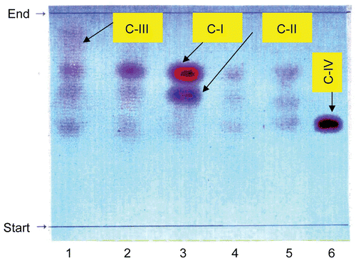 Figure 1.  TLC chromatogram of the collective fractions isolated from RLCCC; 1: total latex, 2-6: Fractions A, B, C, C2 and D, respectively.