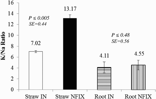 Figure 1. Effects of NFIX and IN on K+/Na+ ratio in the straw and root of Prosopis glandulosa grown in a calcareous saline-sodic soil. Note: data are represented as means of four replications. Vertical bars are standard deviations. K+/Na+ ratio values of Straw IN and Straw NFIX or Root IN and Root NFIX with P ≤  .05 are significantly different using T-Test. Straw IN: straw in lysimeters with P. glandulosa relying on IN; Straw NFIX: straw in lysimeters with P. glandulosa relying on IN; Root IN: root in lysimeters with P. glandulosa relying on IN; Root NFIX: straw in lysimeters with P. glandulosa relying on nitrogen fixation.