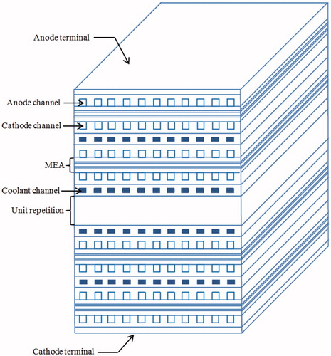 Figure 1. Schematic of a PEMFC stack with cooling plates.