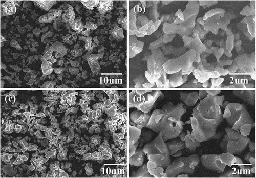 Figure 3. FE-SEM morphology of the (a,b) HA and (c,d) β-TCP powders synthesized at 1200 and 800°C, respectively.