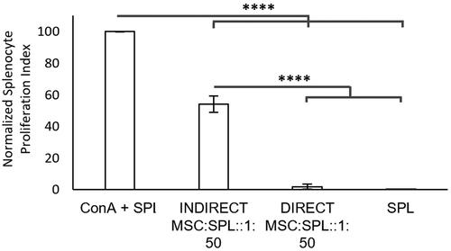 Figure 2. Direct versus indirect immunosuppression: Splenocytes were stained with CellTracker™ Violet dye and their proliferation measured using flow cytometry following 72h in culture. Data was normalized by setting the proliferative index of ConA-treated splenocytes (ConA + SPL) to 100%. There is no proliferation observed for the unstimulated splenocytes (SPL). >90% suppression is observed for ConA-treated splenocytes co-cultured with MSCs in direct contact at a ratio of 1 MSC for every 50 splenocyte (DIRECT MSC:SPL::50:1). ∼50% suppression is observed when ConA treated-splenocytes were co-cultured with MSCs separated using a Transwell at a ratio of 1 MSC for every 50 splenocytes (INDIRECT MSC:SPL::50:1). Error bars represent standard error for N = 3 and line over columns indicate groups that were significantly different from each other (One-way ANOVA using Tukey’s HSD post-hoc, p < 0.05).