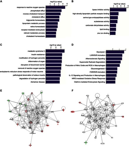 Figure 3 GO and IPA analyses of differentially abundant proteins. The GO annotation of these 27 identified DAPs based on the involved biological processes (A), molecular functions (B), associated disease and disorders (C) and involved molecular pathways (D). IPA of the interaction networks and signaling pathways of these 27 DAPs. The results indicated that the ERK1/2 (E) and NF-κB (F) signaling pathways were involved in the early recurrence of HCC. The red labeling indicates the upregulated proteins and green labeling indicates the downregulated proteins. Solid line shows direct interaction and dotted line shows indirect interaction.Abbreviations: GO, Gene Ontology; IPA, ingenuity pathway analysis; DAP, differentially abundant protein; NF-κB, nuclear factor-κB; HCC, hepatocellular carcinoma.