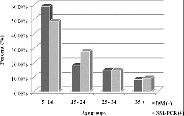 Figure 2. HPVB19-IgM and HPVB19-DNA positive results among the tested age groups (%).